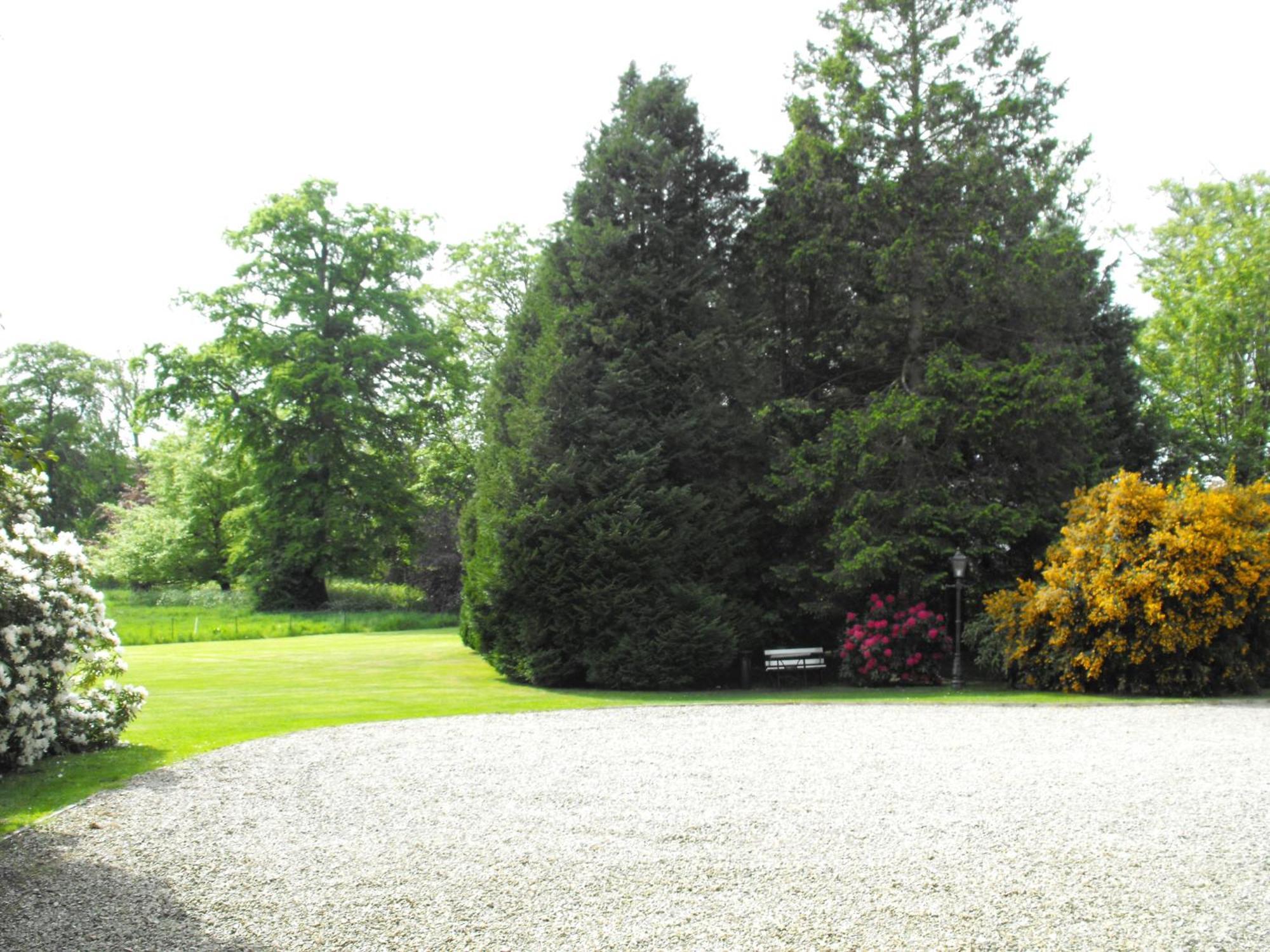 Newforge House Guest House Moira  Exterior photo